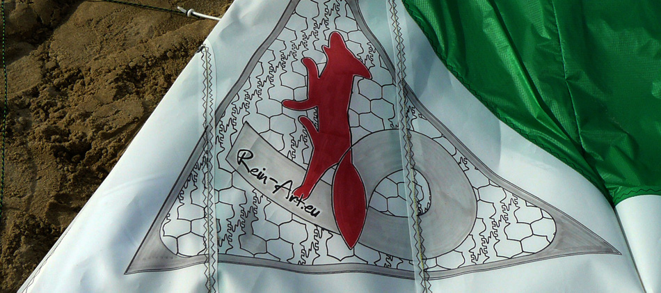 Rein Arc kite fox escher