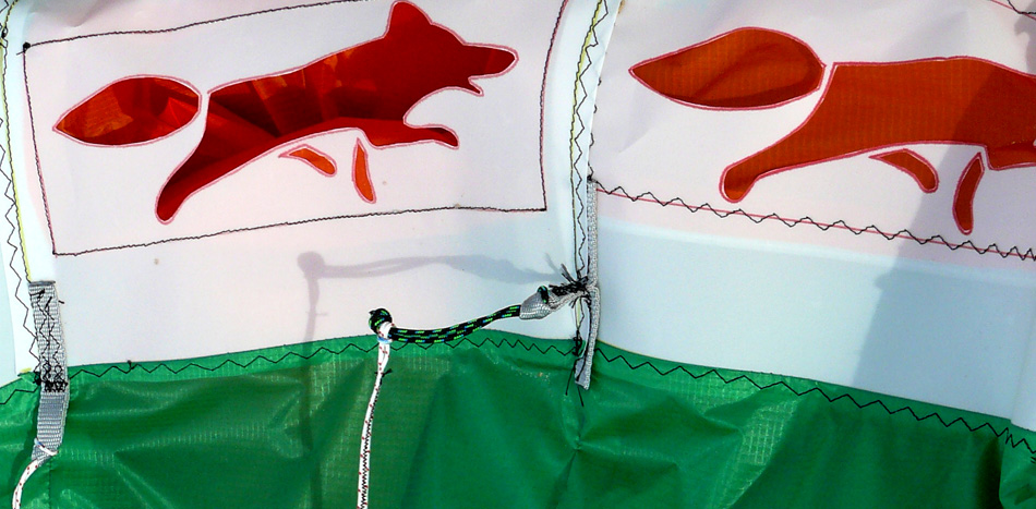 Rein Arc kite fox