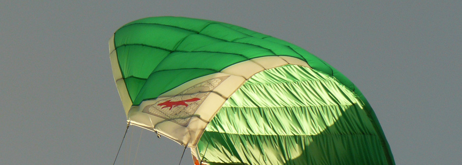 Rein Arc kite